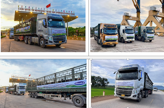 Vinamilk[-]tiếp[-]nhận[-]thành[-]công[-]hơn[-]1.500[-]bò[-]sữa[-]nhập[-]từ[-]Mỹ[-]về[-]các[-]trang[-]trại[-]Green[-]Farm